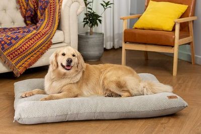 Best dog beds 2023: ultra-soft lounging for the cosiest of pooches