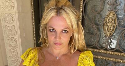 Britney Spears 'annoyed' after fans call police to her home as she deletes her Instagram