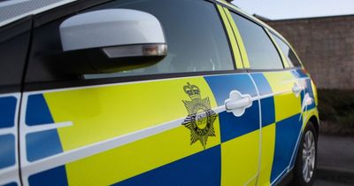 Woman threatened with meat cleaver, bundled upstairs and 'manhandled' by burglar in Nottingham