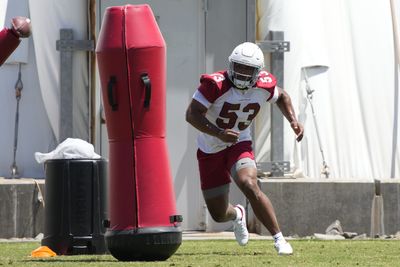 Former Cardinals LB Jessie Lemonier dead at 25