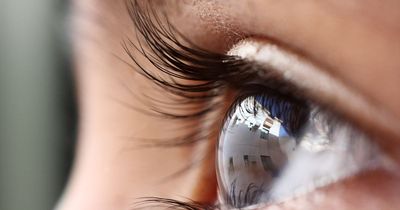 'How lab-grown 'mini eyes' could finally help those with sight and hearing loss'