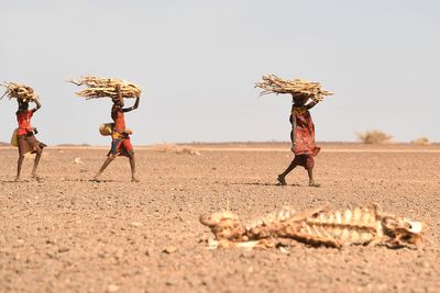 The world is running the risk of a global food crisis, fertilizer giant CEO says