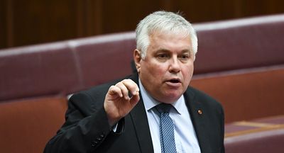 Ex-senator gives pro-bono FOI advice to independents stuck in a ‘resource void’
