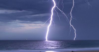 Dolphins cry as lightning crashes into the sea