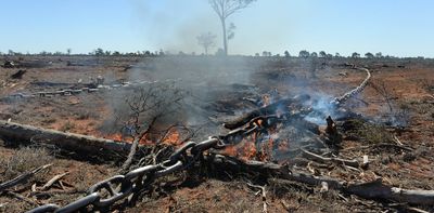 Why Queensland is still ground zero for Australian deforestation