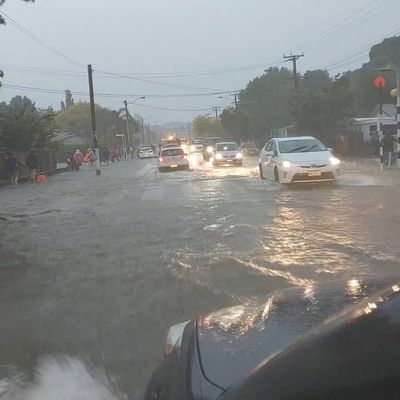 Torrential rain and flooding in Auckland forces cancellation of Elton John concert