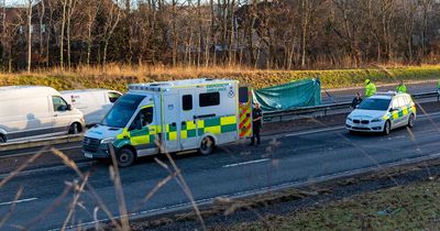 Police appeal for dashcam footage after pedestrian hit and killed by car on A9 near Perth