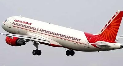 Air India Pee Gate: Delhi Court Adjourns Shankar Mishra's Bail Plea For 30 Jan