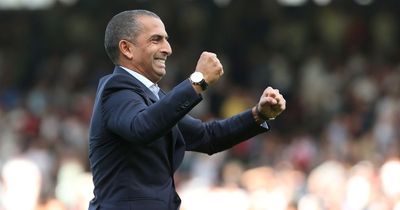 Cardiff City announce Sabri Lamouchi as new manager