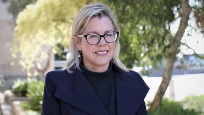Libby Mettam set to challenge David Honey for leadership of Western Australia's Liberal Party