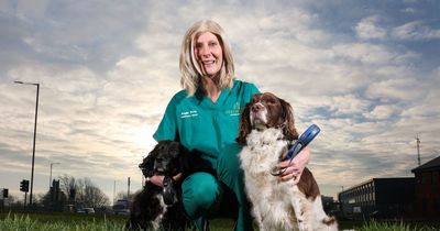 'A labrador I was treating saved my life after accidentally headbutting me in the chest'