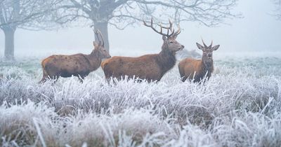 Urgent weather warning for UK's worst night yet as entire country forecast to hit 0°C