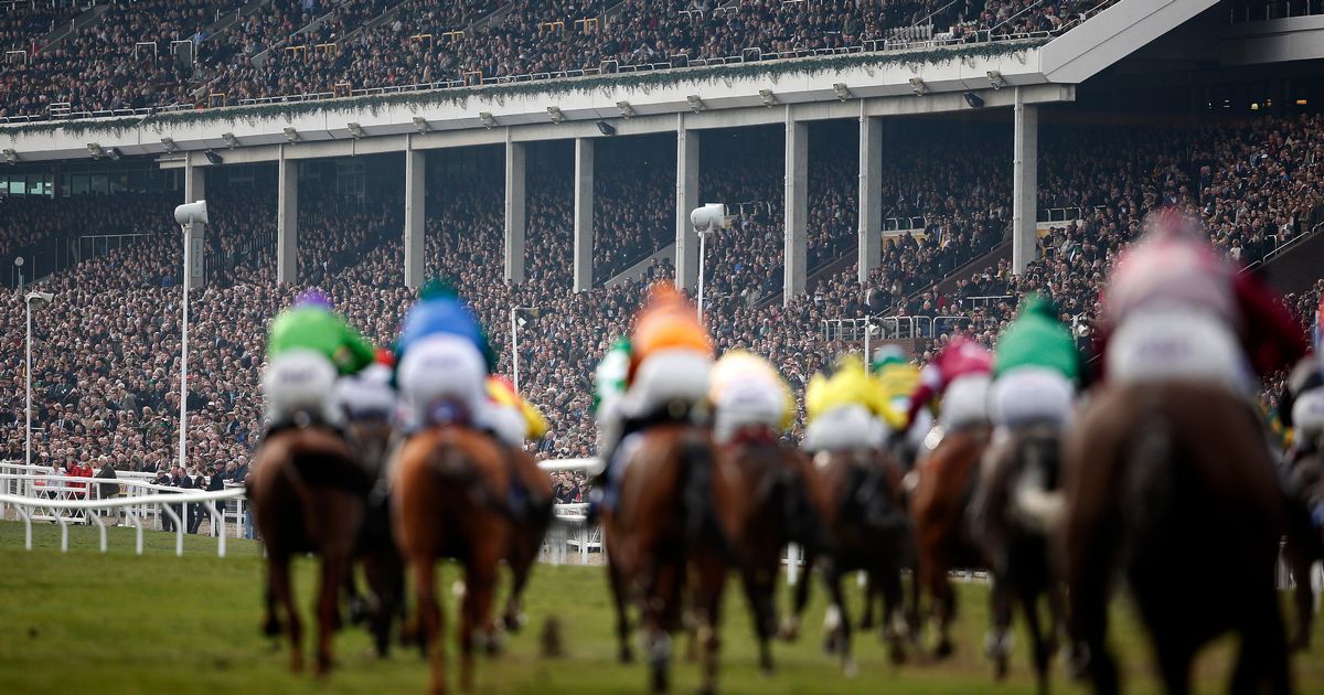 Cheltenham inviting fans to make historic racecourse…