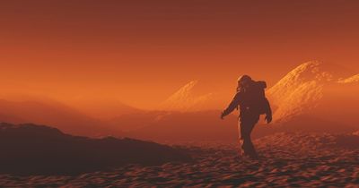 'Time traveller from 2858' claims human bones will be found on Mars THIS YEAR