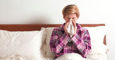 Expert says we should be changing our bedding every 72 hours during flu season