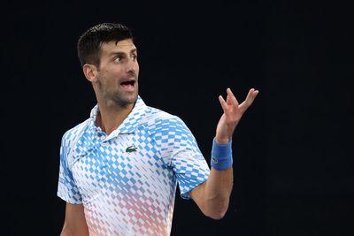 ‘Not his fault’: Novak Djokovic defends father after video with Vladimir Putin supporters