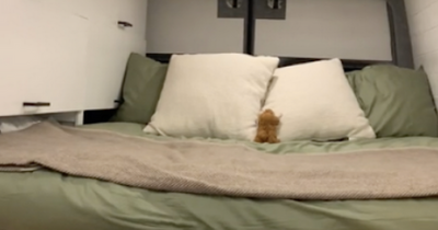 The TikTok travel trend big in Ireland that could land you in trouble with the law