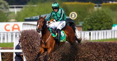 Horse of a lifetime Hewick scoops Eclipse Award on biggest night of life for 'Shark' Hanlon