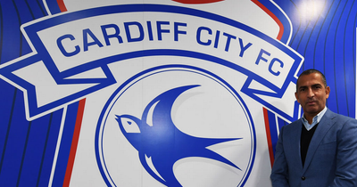 Sabri Lamouchi vows to unlock potential of 'massive club' Cardiff City as he delivers unequivocal response to question over future