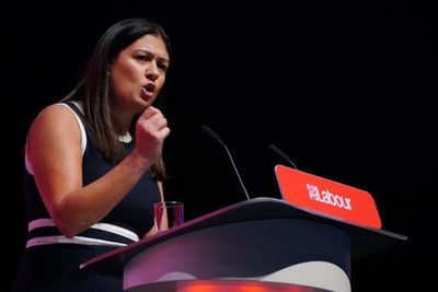 Labour to launch major review into private home rents