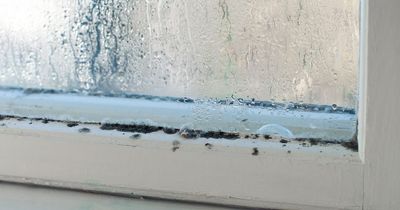 Condensation expert shares the 'red flags' that could warn of excess moisture in your home