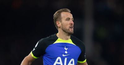 Harry Kane Tottenham injury latest: Fitness test for FA Cup trip to Preston, fever before Fulham