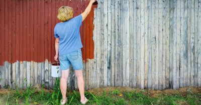 'My neighbour painted our fence without telling me and botched it - I'm furious'