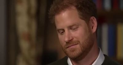 Prince Harry’s gesture shows he feels 'superior' to William, body language expert claims