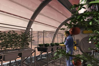 Could we feed a city on Mars?