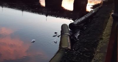 Burst sewer pipe shuts down major Ayr road as water engineers race to urgent repair