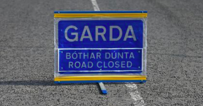 Woman in her 40s hospitalised following 'serious' crash in Wexford involving a car and a truck
