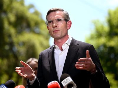 NSW parties vow domestic violence support