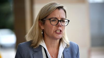 Libby Mettam says she has the numbers to lead Western Australia's Liberal Party