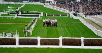 Cheltenham Trials Day full race card and tips for Saturday's action