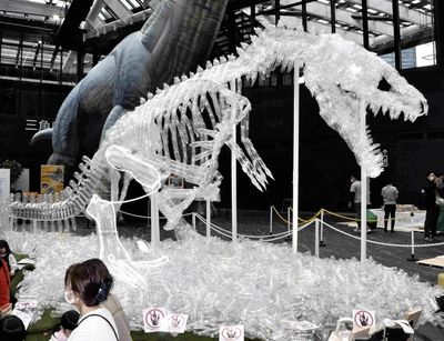 Plastic bottle dinosaur skeleton makes roaring debut in Tokyo