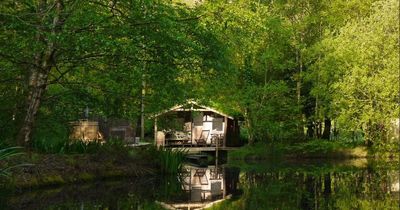 The cute cabin on the lake that will truly let you escape from it all