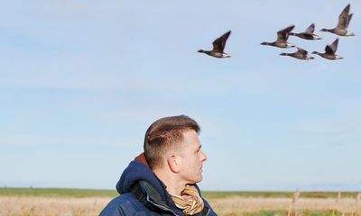 The goose whisperer: flying high with the wild geese of Norfolk