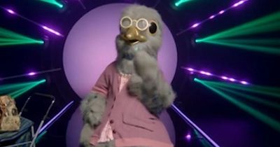 Masked Singer's Pigeon 'rumbled' by viewers as clues mount up and point to one star