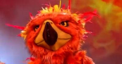 Phoenix's Masked Singer clues 'confirm' star inside costume as Ricky Wilson