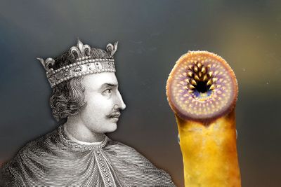 King Henry I's deadly horror-movie diet