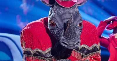 Masked Singer's Rhino sparks Twitter divide as fans 'work out he's two different stars'
