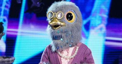 Masked Singer's Pigeon 'rumbled' - and it's 'not Emily Atack or Catherine Tate'