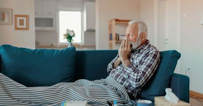 Seasonal flu figures see 'significant decline' in Ireland