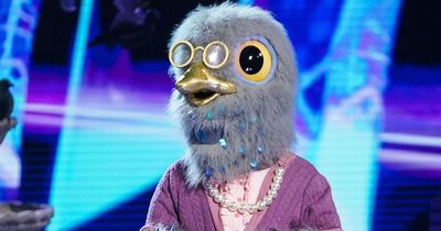 The Masked Singer's Pigeon revealed to be heavily pregnant celeb leaving judges in shock