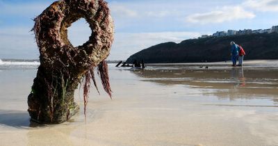 Low tides reveal three shipwrecks on Cornish beach