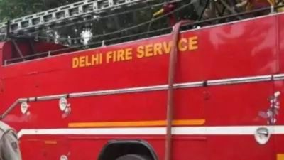 Over 7,000 birds and animals rescued in 2022, Delhi Fire Services data shows
