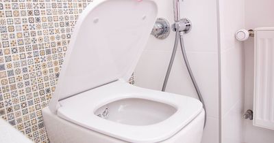 Cleaning guru shares clever trick to unclog toilets using common 65p product
