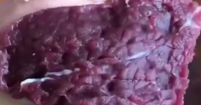 Unsettling footage showing meat spasming - turning carnivores into vegetarians