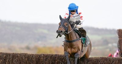 Dan Skelton admits Cheltenham flop Protektorat was nowhere near fit enough