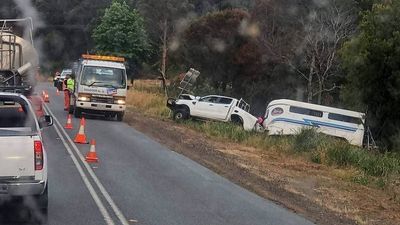 Five people injured, four horses dead after crash at Rowella in northern Tasmania